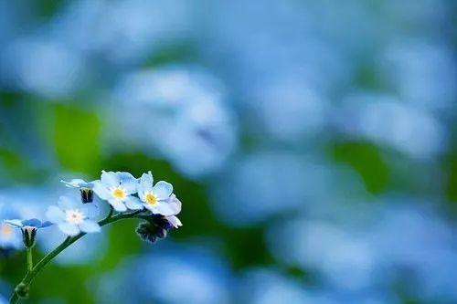 快乐人生的句子(图5)