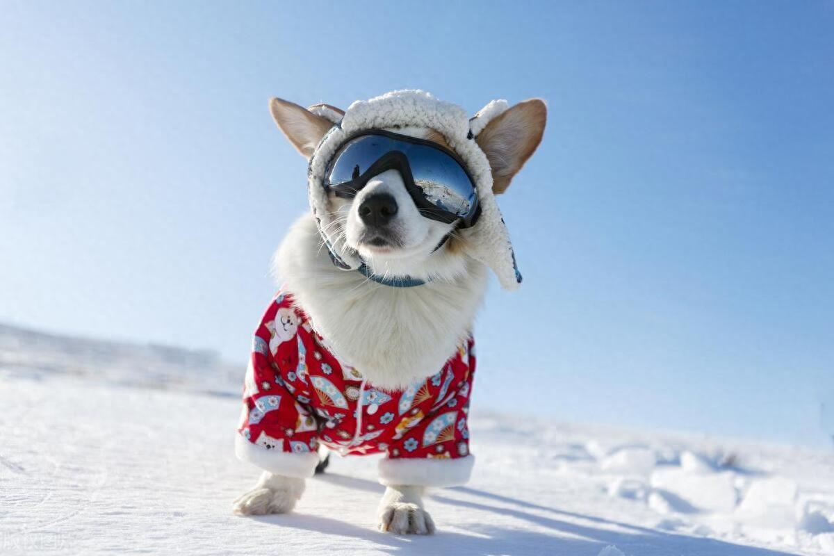 吐槽天气冷的幽默句子｜如今出门有种甄嬛去甘露寺的感觉(图1)