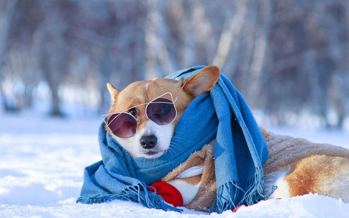 吐槽天气冷的幽默句子｜如今出门有种甄嬛去甘露寺的感觉(图2)