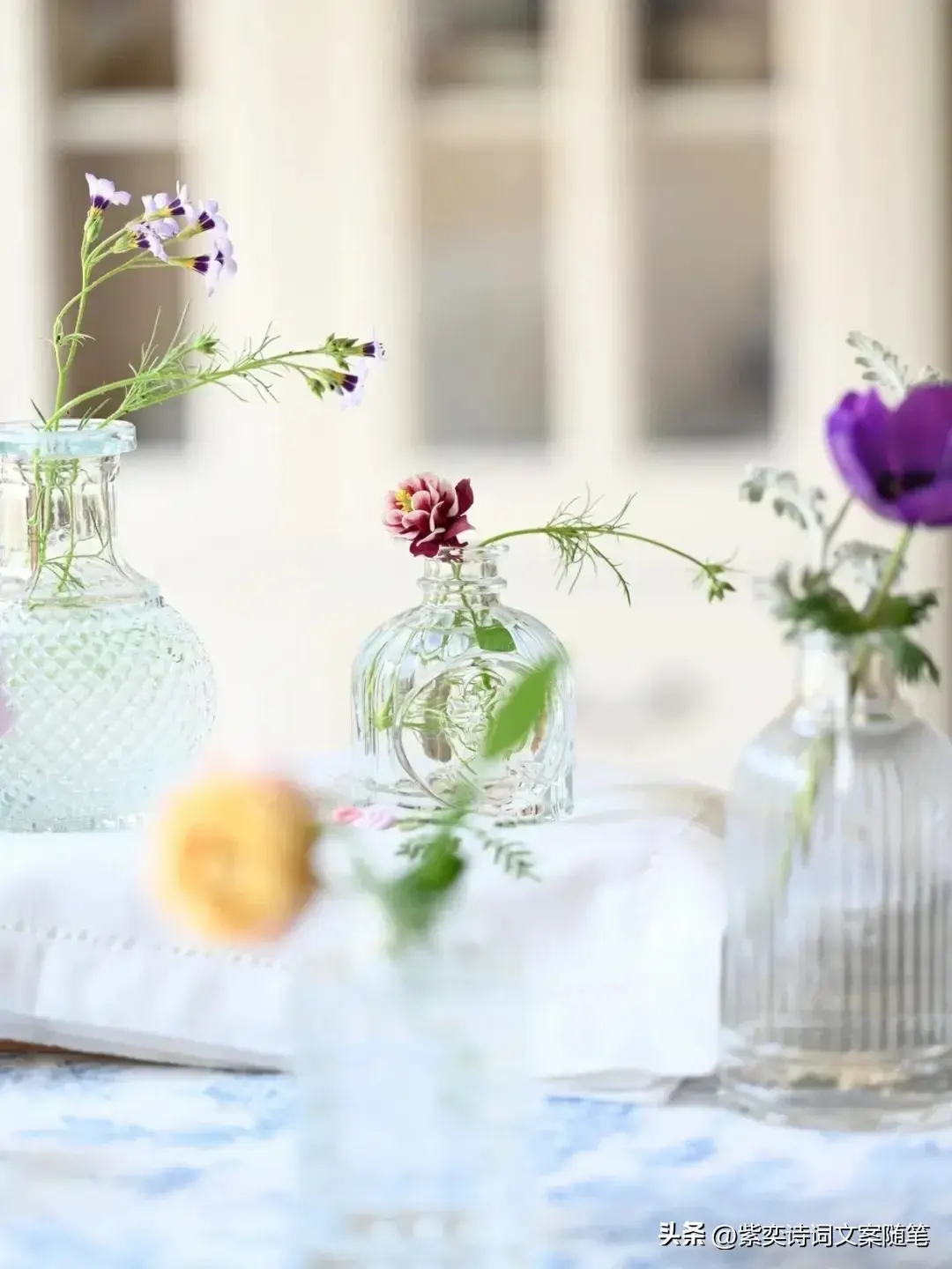 还可以这样写花？花的光芒，闪耀着永恒的美丽(图2)