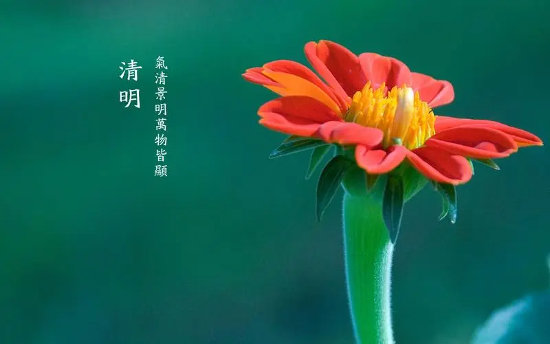 清明节思念亲人最佳句子 思念亲人逝去的短句(图2)