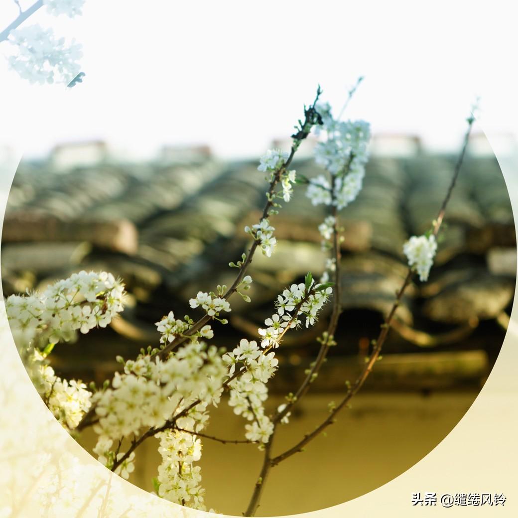 国学经典《中庸》：11句经典语录，说破为人处世、安身立命之道(图6)