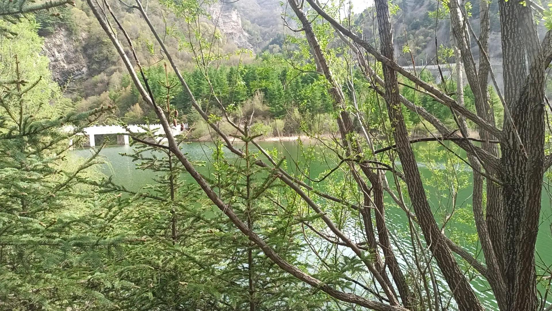 “龙宫”探宝(图5) “龙宫”探宝(图5)