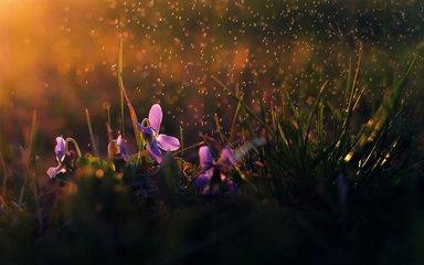 佛学经典30句名言(图1)