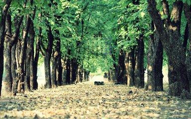 佛学经典30句名言(图3)