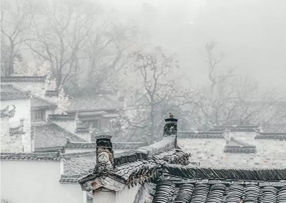 《天道》经典台词，自己是自己救世主，生存法则。如何惊醒梦中人(图1)