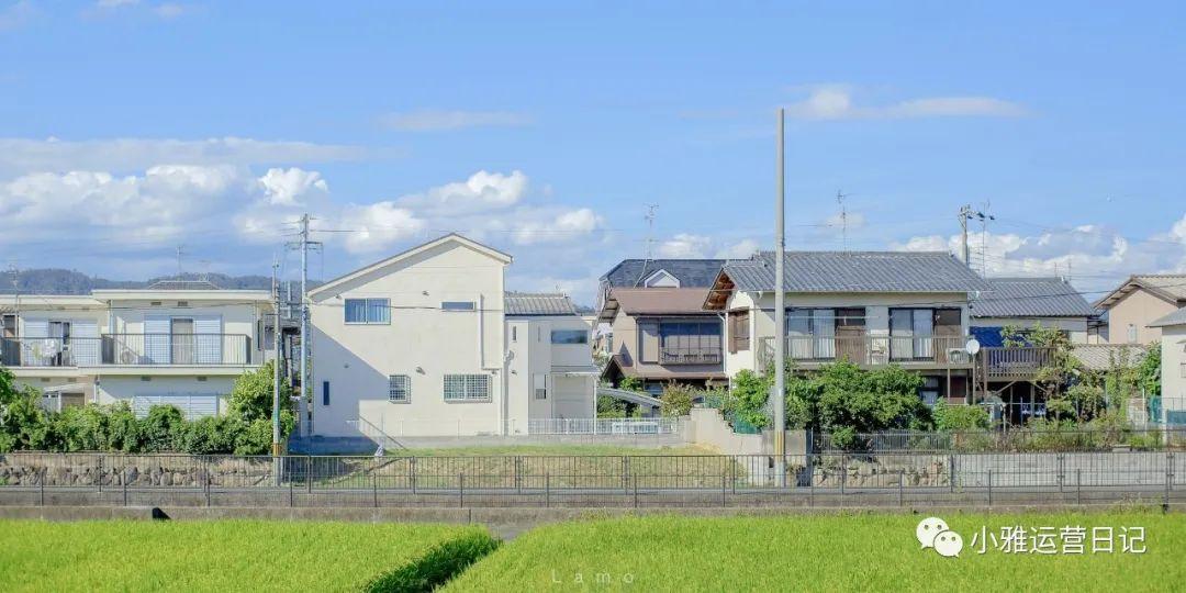 我用尽全力，过着平凡的一生/100句写作励志素材(图7)