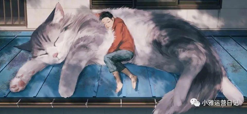 我用尽全力，过着平凡的一生/100句写作励志素材(图27)