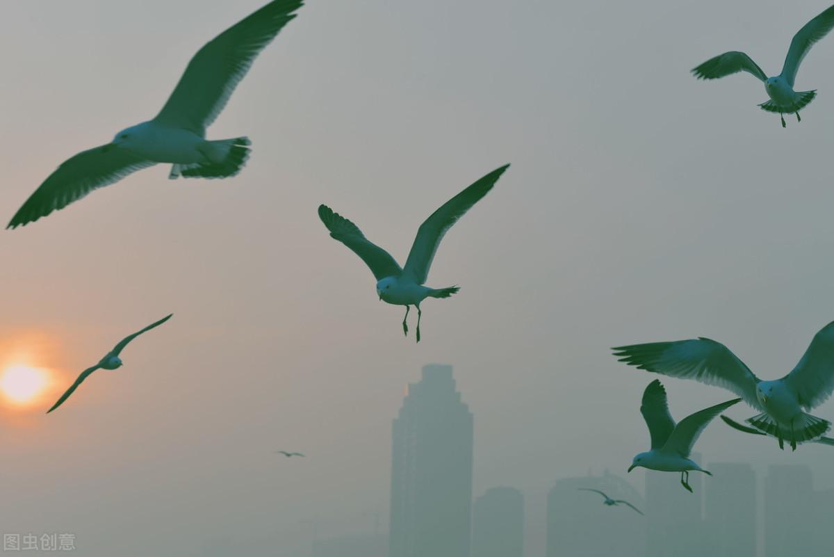 不要只会夸大海“真大，真美，真蓝”，学学古诗词里怎么说(图2)