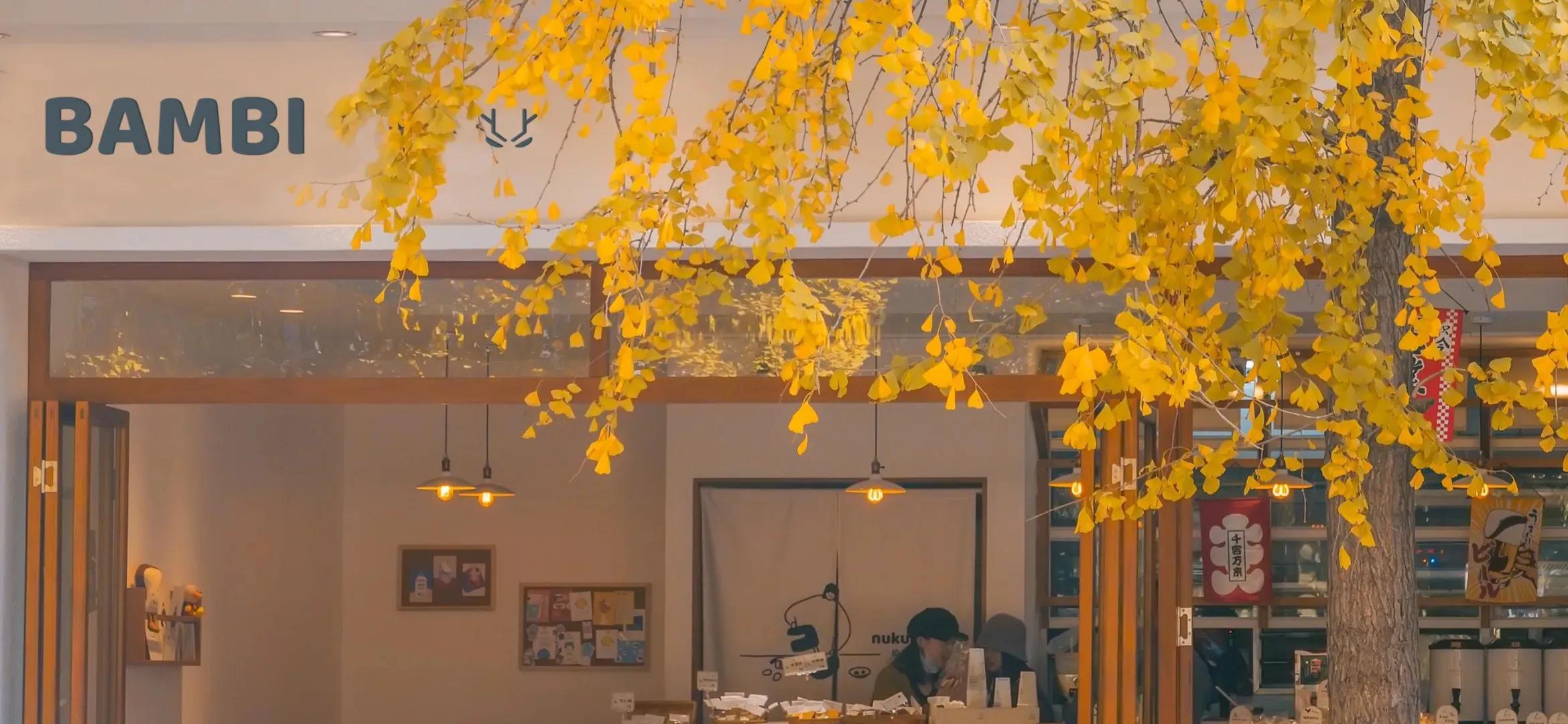 “沧海先迎日，银河倒列星”大海那些浪漫句子(图8)