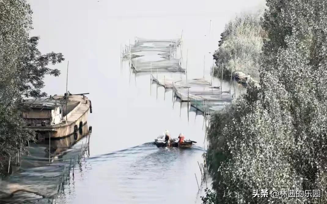 20句最美的春雨诗词，清丽如画，淋湿了唐宋，惊艳了时光(图4)