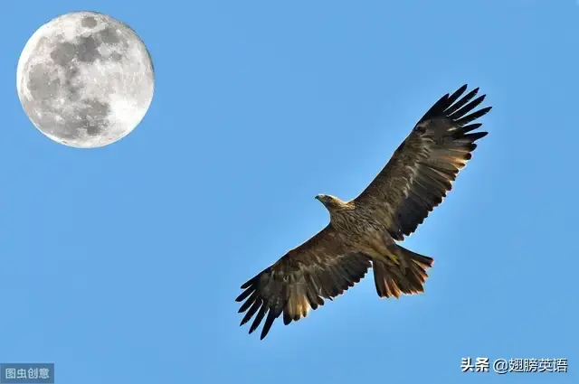 经典长难句100句有翻译有精讲码起来(图4)