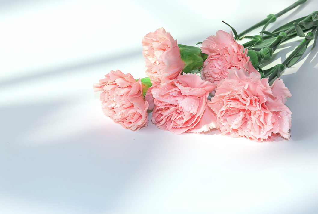 30句诗词中的母爱(图4)