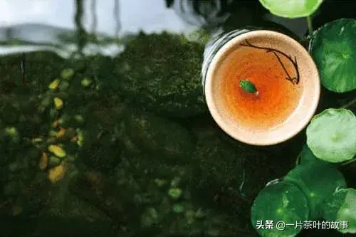 茶苦如生命，茶香如爱情，茶淡如清风(图2)