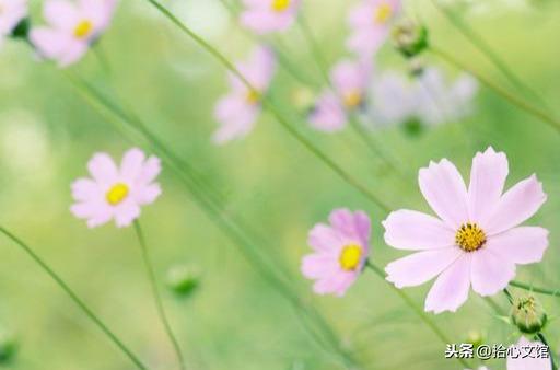 滴水之恩，当涌泉相报；受人恩惠，应没齿难忘(图2)