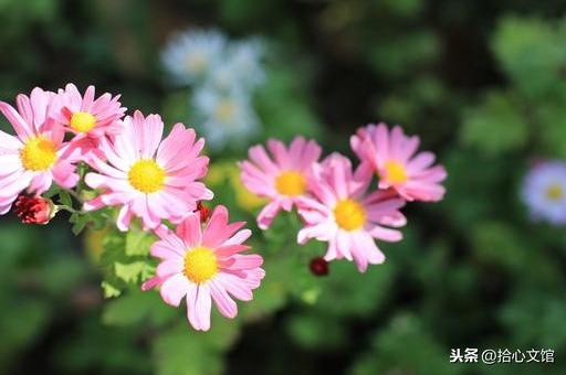 滴水之恩，当涌泉相报；受人恩惠，应没齿难忘(图3)