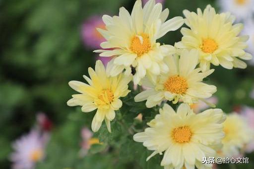 滴水之恩，当涌泉相报；受人恩惠，应没齿难忘(图4)