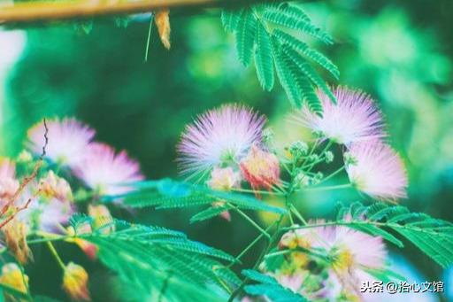 滴水之恩，当涌泉相报；受人恩惠，应没齿难忘(图5)