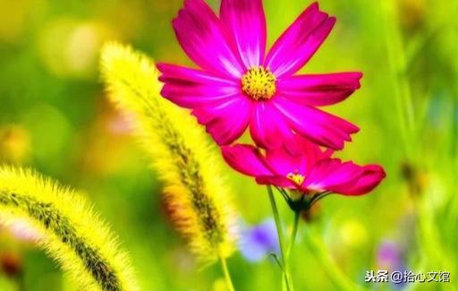 滴水之恩，当涌泉相报；受人恩惠，应没齿难忘(图6)