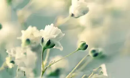 值得好好领悟的八句话(图1)