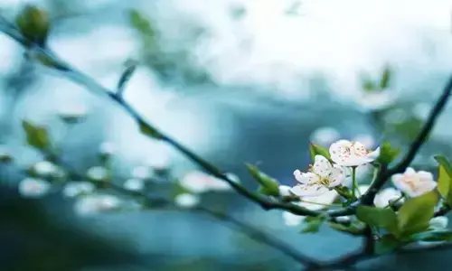 值得好好领悟的八句话(图2)