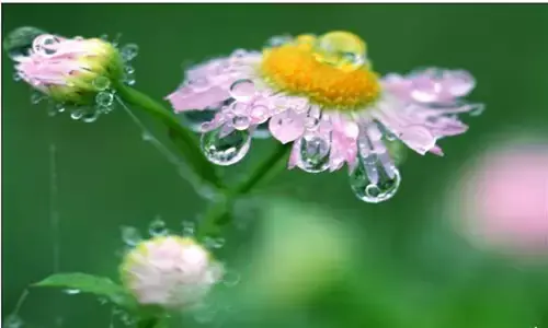 值得好好领悟的八句话(图5)