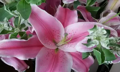 值得好好领悟的八句话(图6)