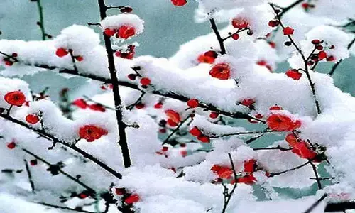 值得好好领悟的八句话(图7)