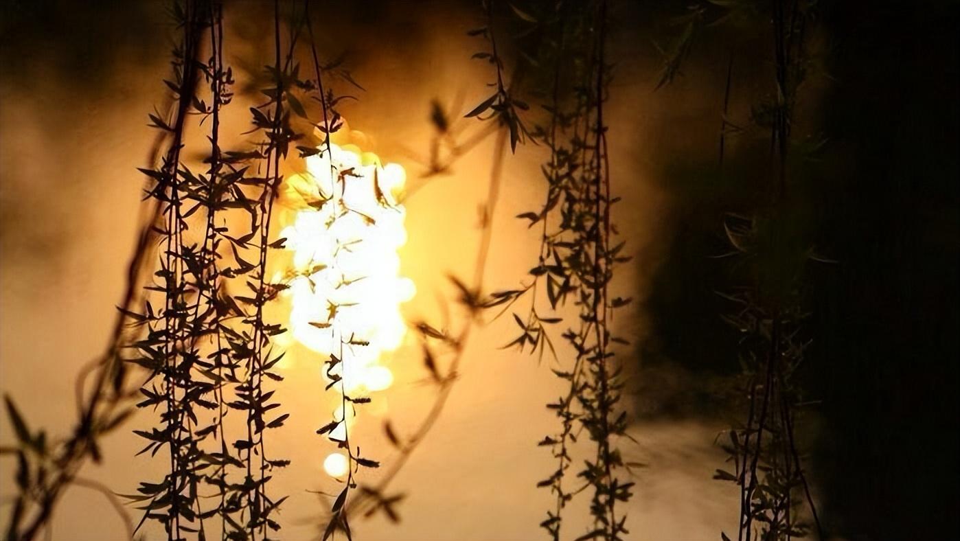 又到柳絮纷飞季节，11首最美柳絮诗词，情似游丝，人如飞絮，真美(图1)