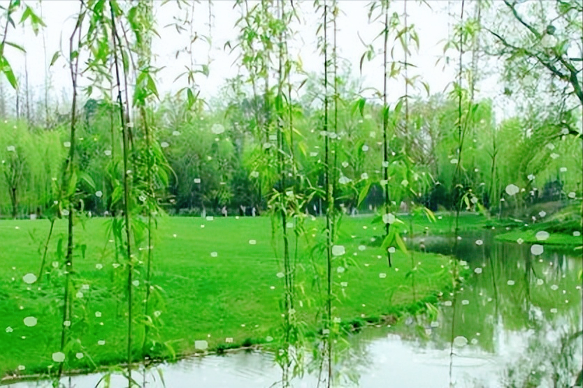 又到柳絮纷飞季节，11首最美柳絮诗词，情似游丝，人如飞絮，真美(图11)