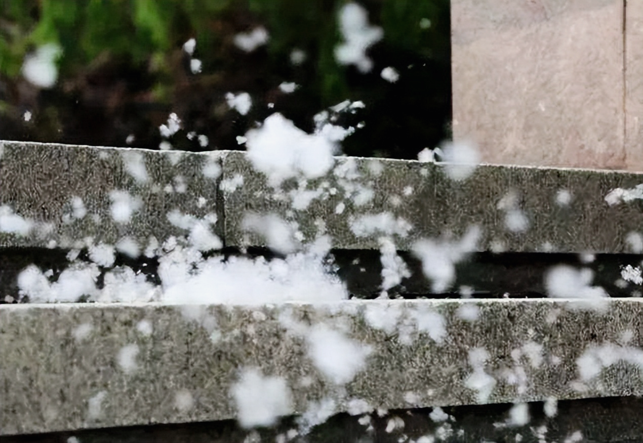 又到柳絮纷飞季节，11首最美柳絮诗词，情似游丝，人如飞絮，真美(图12)