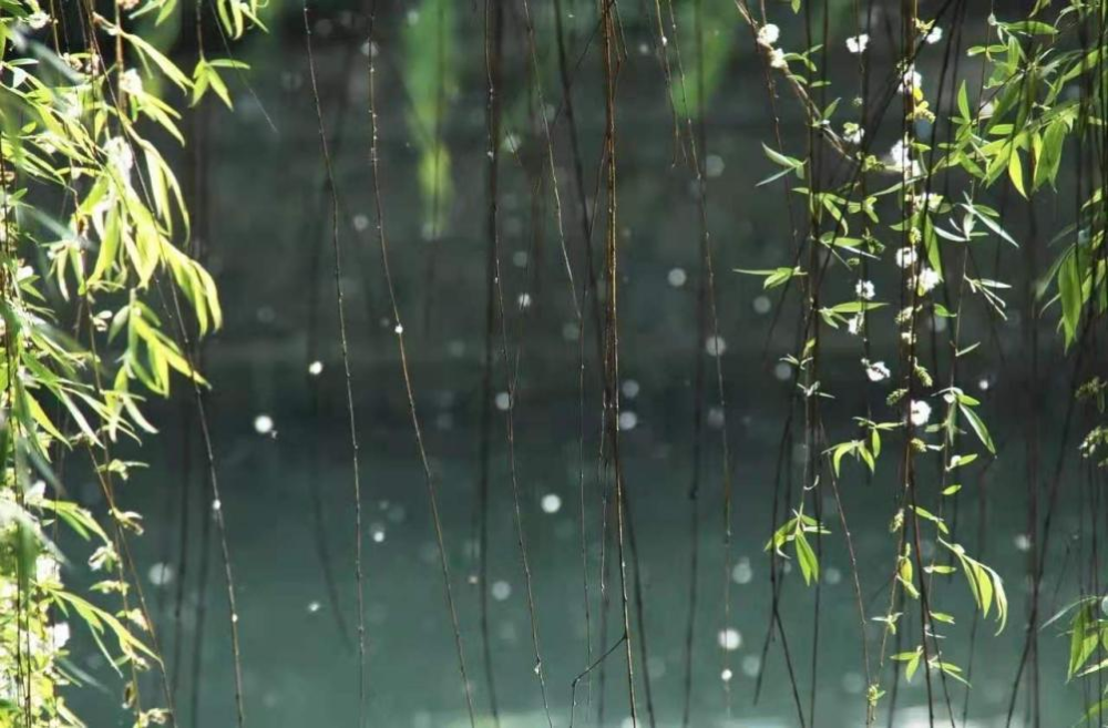 二十首最美的柳絮诗词，飘泊亦如人命薄，空缱绻，说风流(图10)