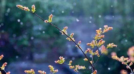 似花还似非花 那些拨动你心弦的唯美诗词(图2)