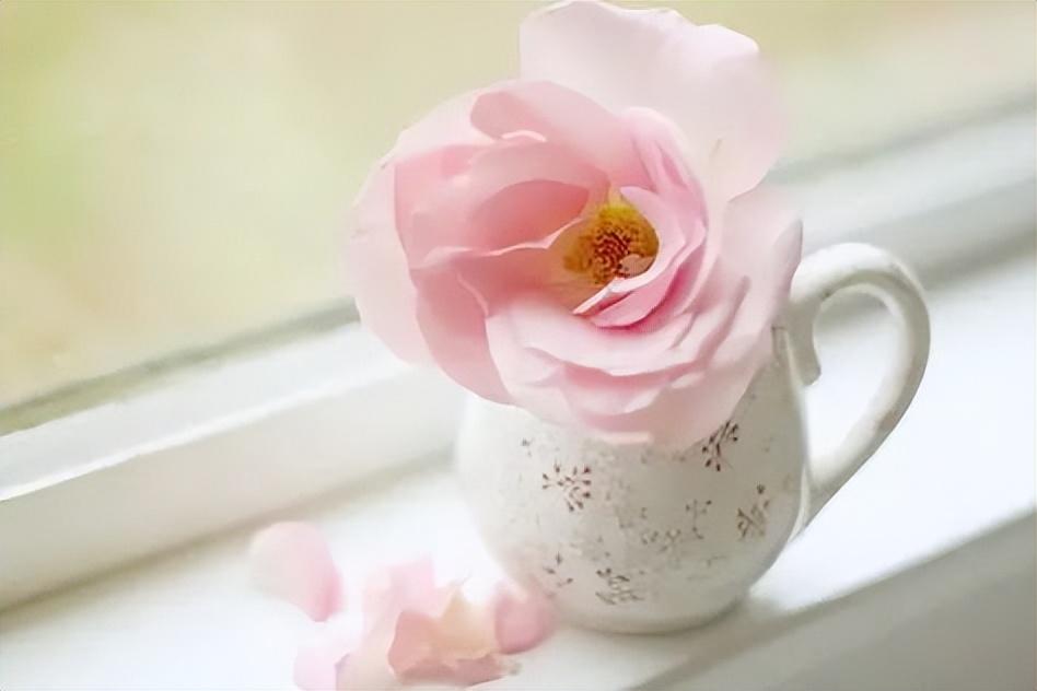 无畏前行，碾压挑战，不惧挑战的霸气句子(图6)