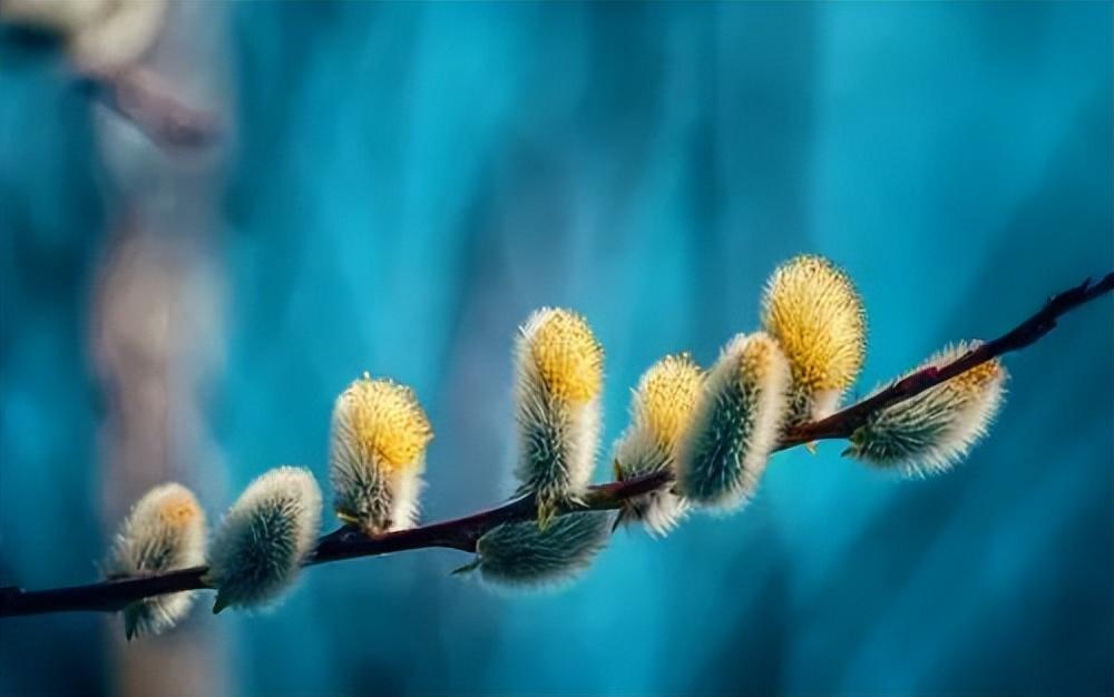 无畏前行，碾压挑战，不惧挑战的霸气句子(图7)