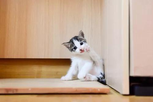 适合发朋友圈的短句，时光教会了我：万事藏于心，不表于情(图2)