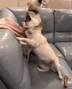 开心一刻：兄弟你摊上大事了，大家说说看这个要扣多少分(图5)