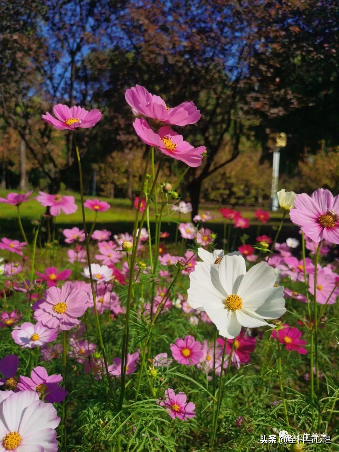 干净走心的句子，经典语录短句治愈(图2)