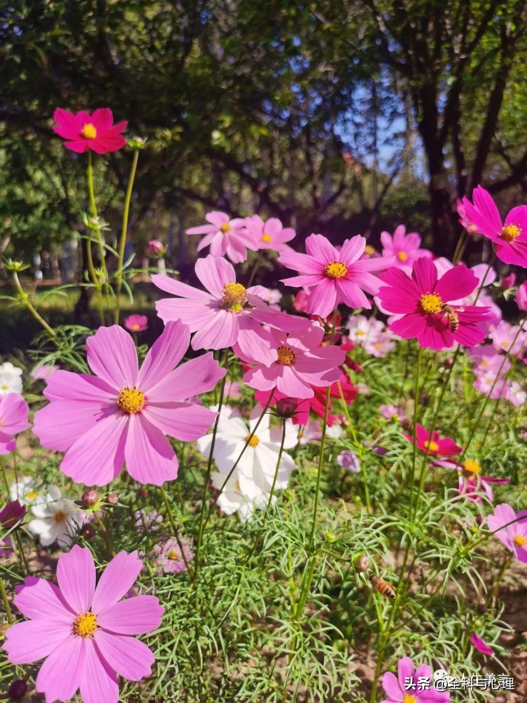 干净走心的句子，经典语录短句治愈(图3)