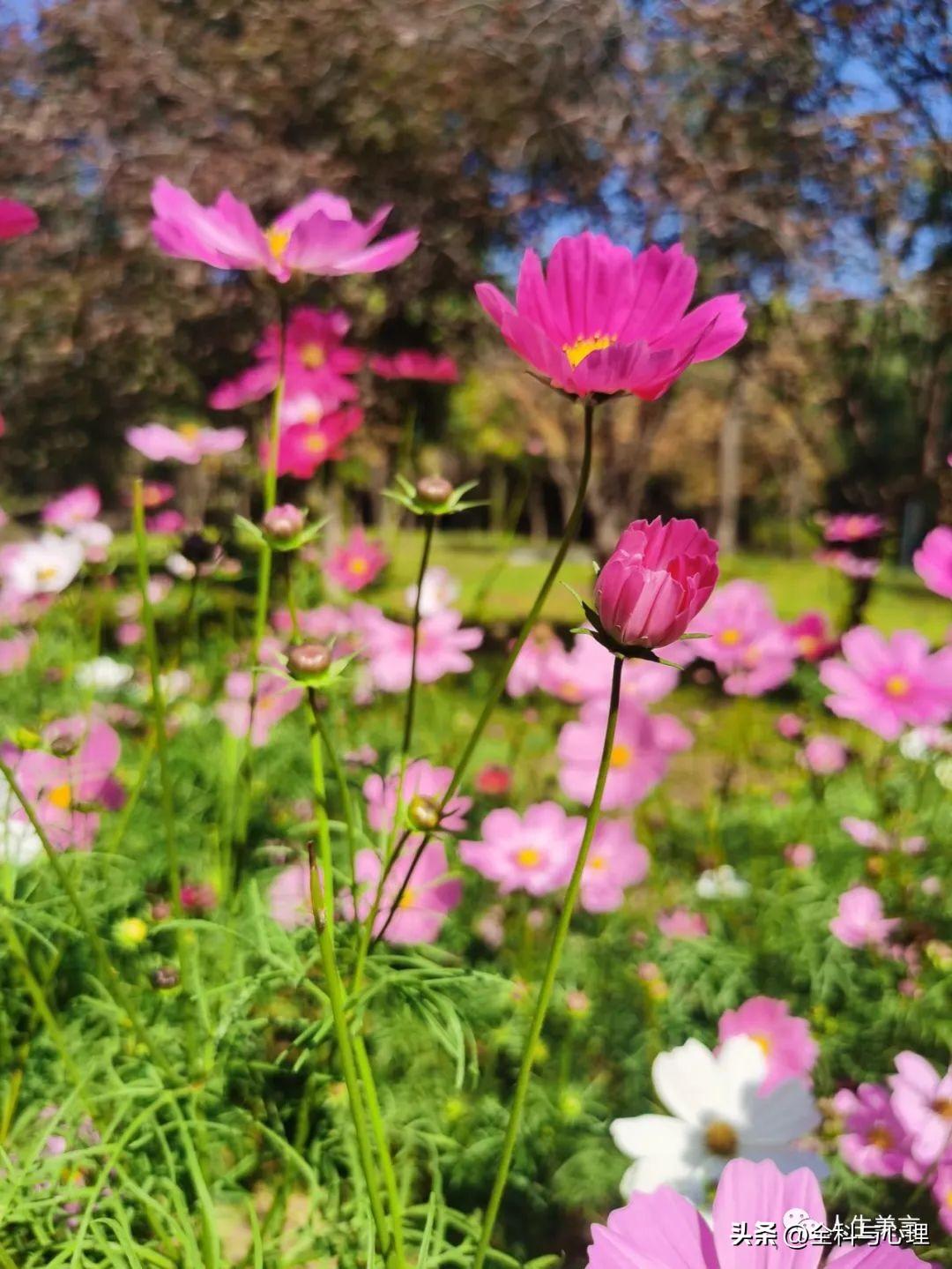 干净走心的句子，经典语录短句治愈(图4)