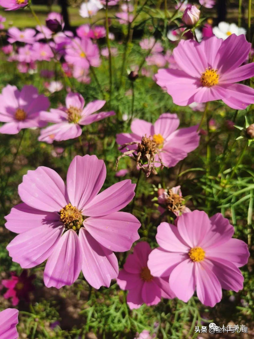 干净走心的句子，经典语录短句治愈(图5)