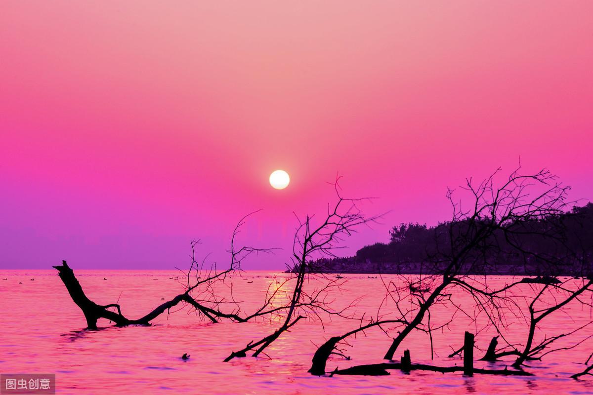 大唐诗人贾岛经典五言诗作，鸟宿池边树，僧敲月下门(图3)