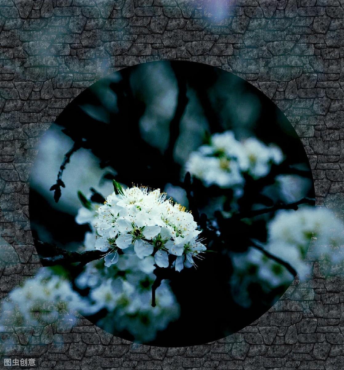 大唐诗人贾岛经典五言诗作，鸟宿池边树，僧敲月下门(图9)