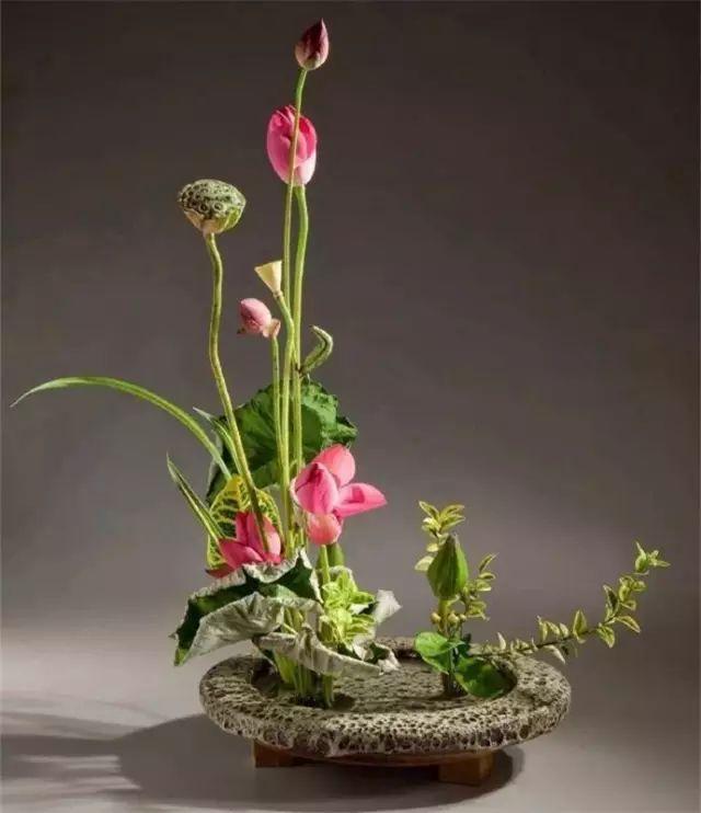 绝美古今！《二十四史》100句精华和3000对偶佳句（收藏）(图5)