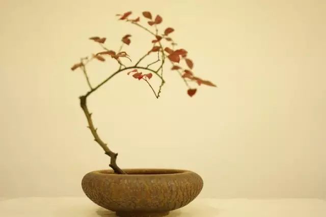 绝美古今！《二十四史》100句精华和3000对偶佳句（收藏）(图11)