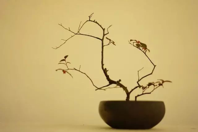 绝美古今！《二十四史》100句精华和3000对偶佳句（收藏）(图13)