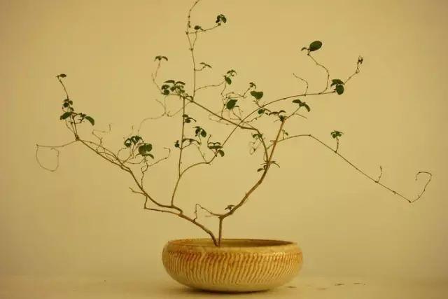 绝美古今！《二十四史》100句精华和3000对偶佳句（收藏）(图15)