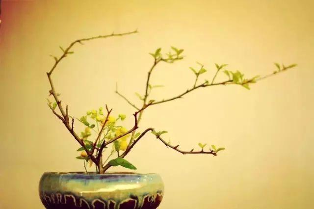 绝美古今！《二十四史》100句精华和3000对偶佳句（收藏）(图16)