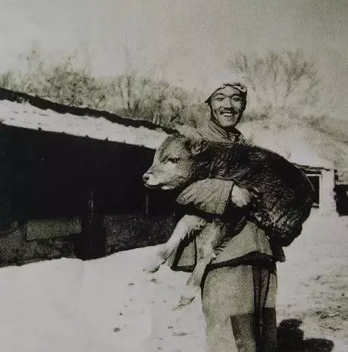 1972年，一场暴雨让史铁生失去双腿！此后，他用双手扼住命运咽喉(图2)