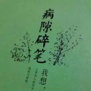 1972年，一场暴雨让史铁生失去双腿！此后，他用双手扼住命运咽喉(图13)